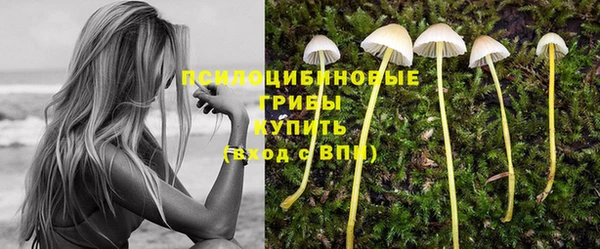 mix Баксан