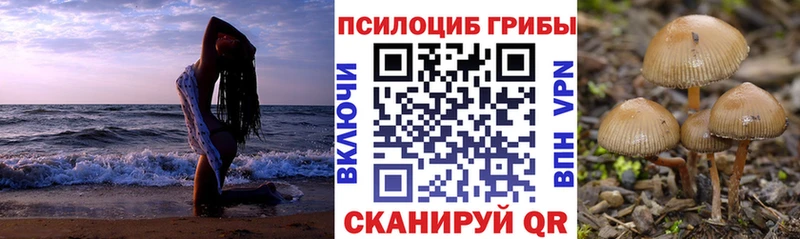 Псилоцибиновые грибы Cubensis  Давлеканово 